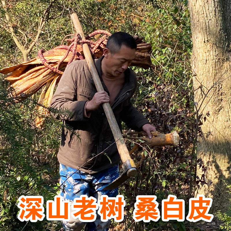 深山桑白皮中药材250g桑白皮汤野生桑白皮茶桑树皮桑树根新鲜无硫