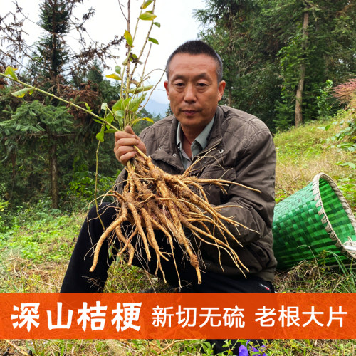 野生桔梗中药材特级老根大片无硫
