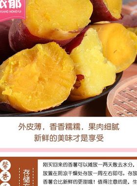 老品种黄心红薯新鲜农家自种地瓜番薯非烟薯蜜薯小香薯
