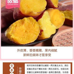 老品种黄心红薯新鲜农家自种地瓜番薯非烟薯蜜薯小香薯
