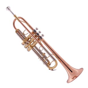 未诺小号乐器初学者学生降b调专业演奏级乐队小号铜管乐器号子