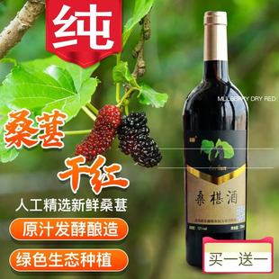 泽醇自酿低糖黑桑椹桑葚干红农家原汁自然发酵花果酒非泡制买1送1