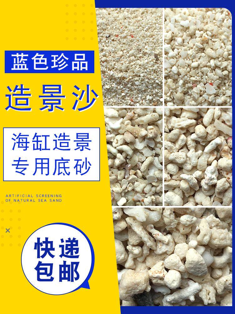 蓝色珍品海缸造景珊瑚沙海沙菲律宾沙子天然鱼缸底砂海砂珊瑚骨石