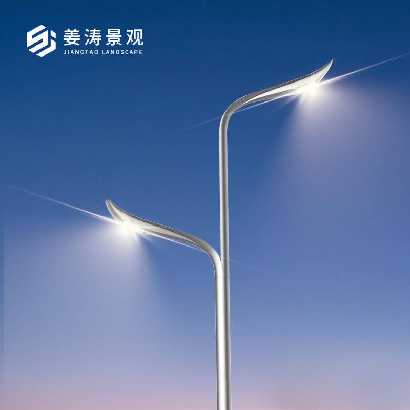 12米双臂路灯杆8米单臂市电路灯户外防水广场10米自弯臂灯杆厂家