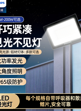 飞利浦投光灯BVP118 led投光灯户外防水超亮射灯室外泛光灯射灯
