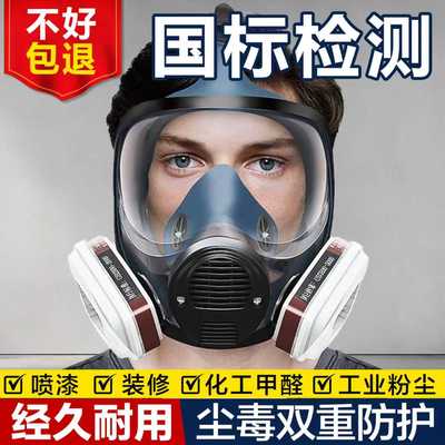 防毒面具硫化氢面罩化工气体