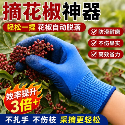 摘花椒专用手套防刺防扎