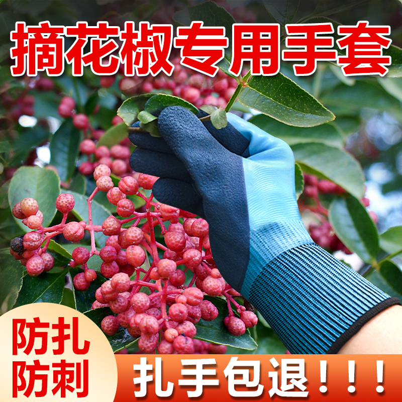 摘花椒专用手套防刺防扎