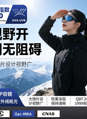 防雪盲症护目镜防风可戴眼镜