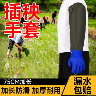 插秧手套下田用的下水干活水田专用加长防水水产水稻橡胶杀鱼防滑