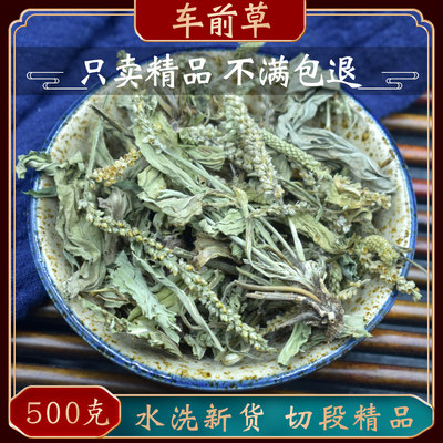 精选中药材车前草500克新货