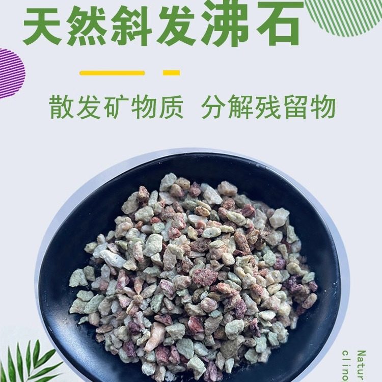 天然斜发沸石水过滤鱼缸吸氨滤材滤料养鱼净水石稳定水质除氨氮,标准件/零部件/工业耗材,滤料,淘宝优惠券,粉丝福利购,淘宝优惠卷