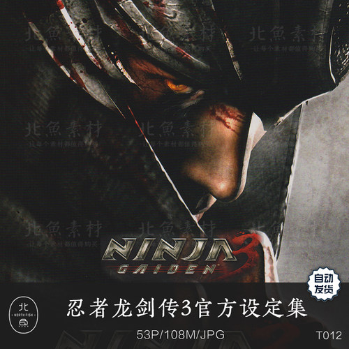 游戏忍者龙剑传3 次时代版官方设定资料集 人物角色绘画临摹参考