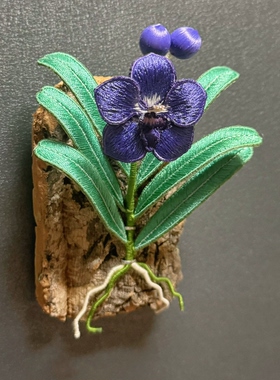 冰箱贴装饰摆件 手工刺绣 植物 万代兰