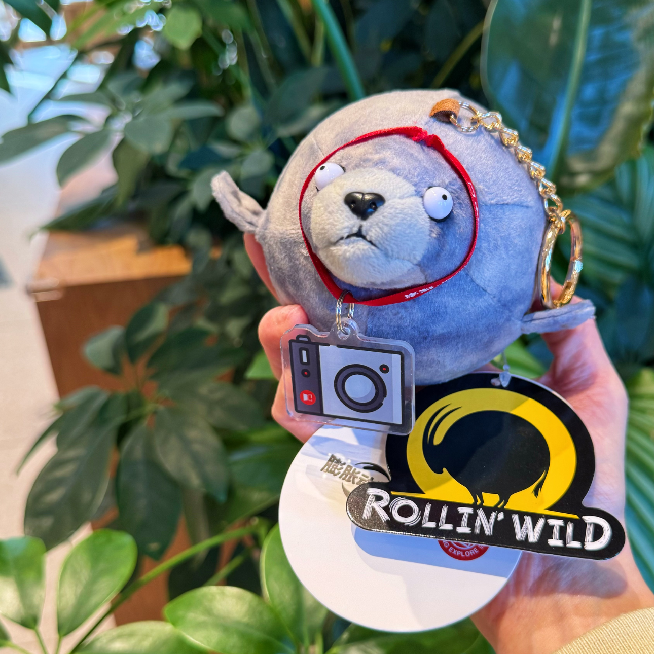 中国国家地理正版玩偶 圆滚滚动物世界 解压捏捏毛绒玩具挂饰礼物