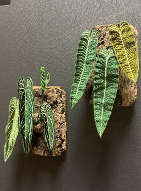 冰箱贴装饰摆件 手工刺绣 植物 火鹤王火鹤后