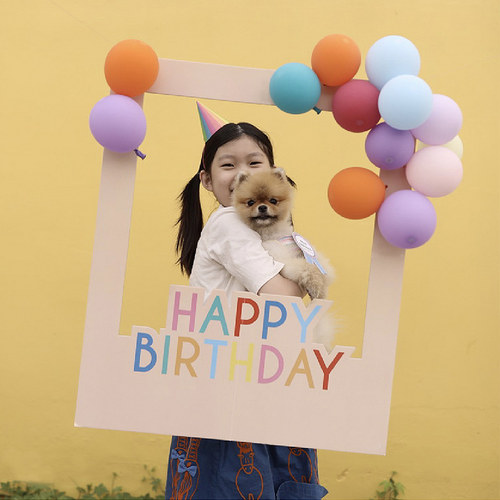 儿童周岁生日派对手持相框KT板