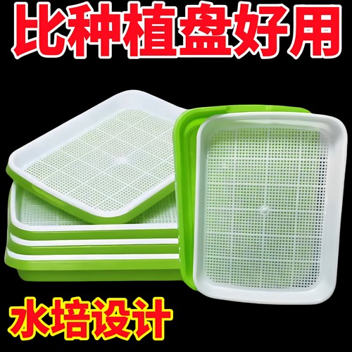蒜苗种植盆蒜黄专用育苗托盘芽苗菜豌豆苗发豆芽种蒜神器水培器皿