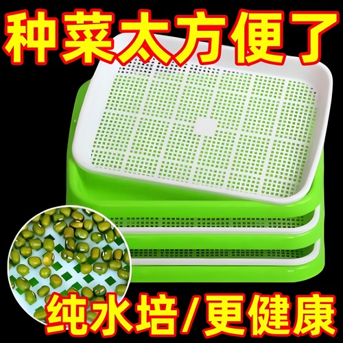 育苗蔬菜盘盆芽苗菜水培网格豌豆苗豆芽种植盘阳台小菜园种植托盘