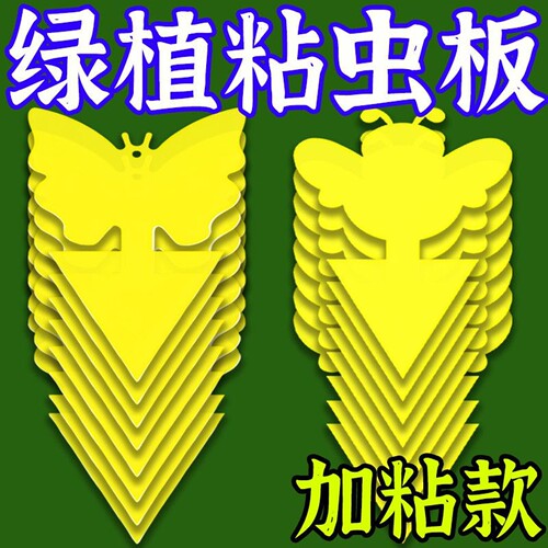 小黄板粘虫板双面诱虫板黏沾虫小飞虫粘板家用强力粘蝇纸花卉蝴蝶