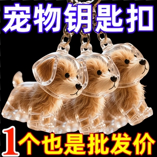 小狗毛发收集器透明可爱小狗毛收纳挂件钥匙扣创意书包背包包挂饰