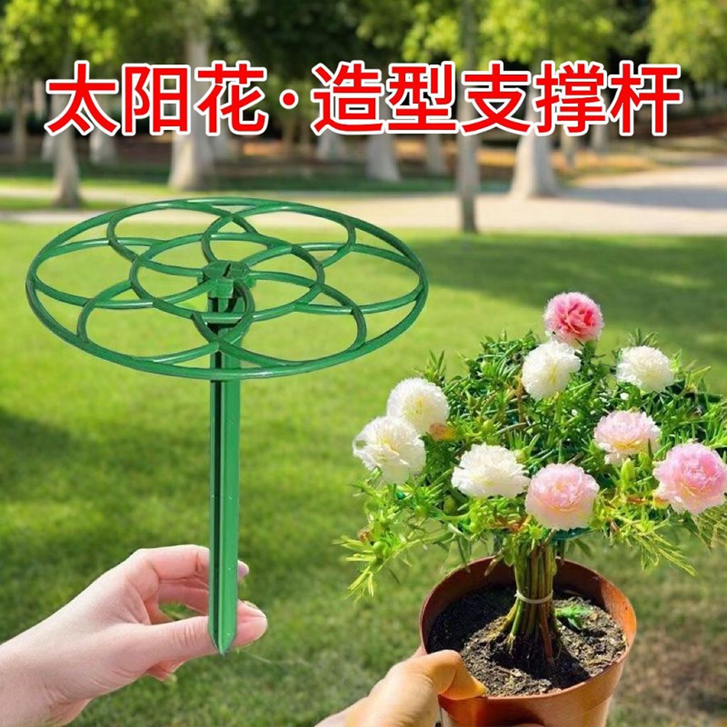 太阳花造型支架棒棒糖花架支撑杆固定器蟹爪兰嫁接支撑爬藤花架子