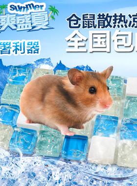仓鼠金丝熊散热板荷兰猪降温房冰床降温板夏季散热消暑凉席宠物夏