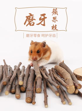 仓鼠 磨牙石苹果枝 金丝熊 天竺鼠 荷兰猪 磨牙小食粗细混合8枝装