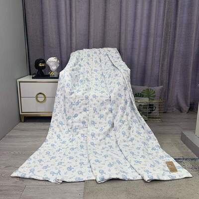 薄款被被裸睡被空调可夏凉被子单人双人盛宇水洗被芯夏季学生宿舍
