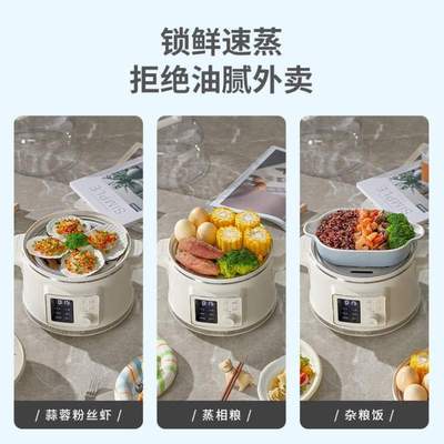 蒸蛋智能TER多功能蒸煮多层小型电蒸汽蒸锅器锅锅家用蒸箱一体