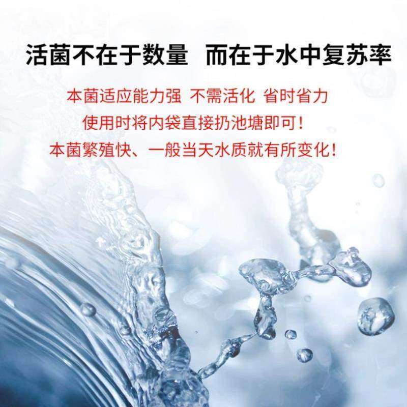 调水养殖肥水液虾芽孢粉剂菌浓缩鱼塘水产蟹杆菌em改底菌种益生菌,宠物/宠物食品及用品,其他益生菌,淘宝优惠券,粉丝福利购,淘宝优惠卷