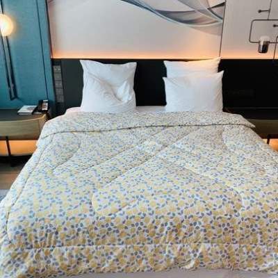 c203超暖超柔自留子冬季8棉被！卡洛双宫推荐桑蚕丝斤