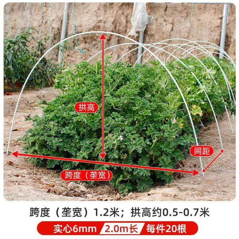 棒农用拱杆实心新型拱棚养殖骨架塑料大棚支架玻璃纤维蔬菜小温室,鲜花速递/花卉仿真/绿植园艺,其它园艺用品,淘宝优惠券,粉丝福利购,淘宝优惠卷
