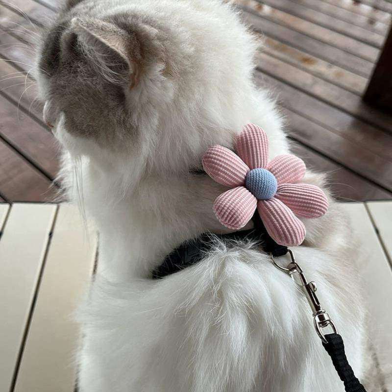 猫妨走牵引绳绳调节工字型猫咪绳子宠物可遛防丢外出可爱外出挣脱,宠物/宠物食品及用品,猫牵引绳,淘宝优惠券,粉丝福利购,淘宝优惠卷