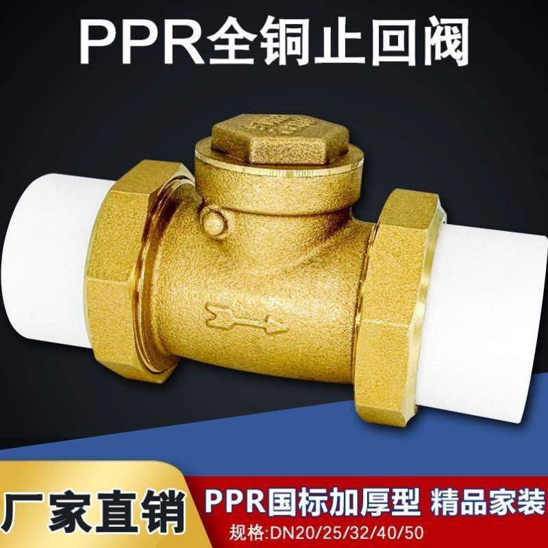 单向阀逆止分自来水管6黄铜热熔/接卧25PPR20止回阀双活表/立式4