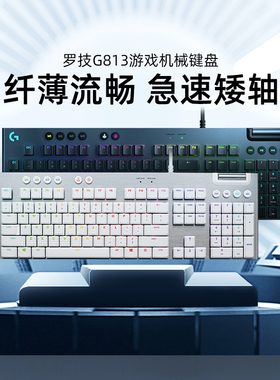 罗技G813有线游戏机械键盘可编程电竞矮轴台式电脑笔记本茶青红轴