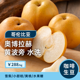 【新产季】奥博拉赫·黄波旁水洗 印格哥伦比亚娜玲珑咖啡生豆1KG