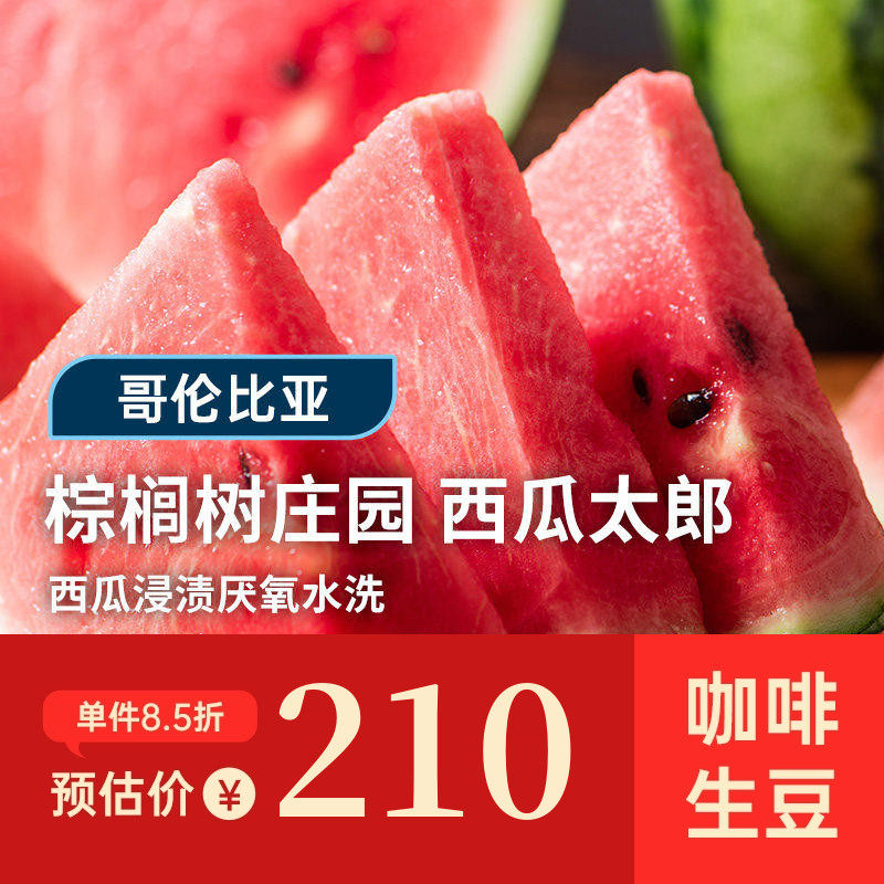 【25产季】棕榈树庄园.西瓜太郎 印格哥伦比亚水洗咖啡生豆1KG