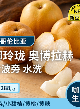 哥伦比亚水洗黄波旁印格咖啡生豆