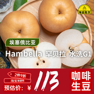 【25产季】Hambella 罕贝拉水洗G1 印格埃塞俄比亚咖啡生豆1KG