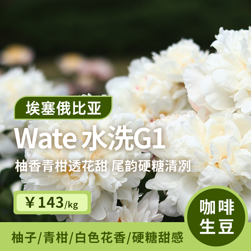 【25产季】Wate.水洗G1 印格埃塞俄比亚古吉花香咖啡生豆1KG