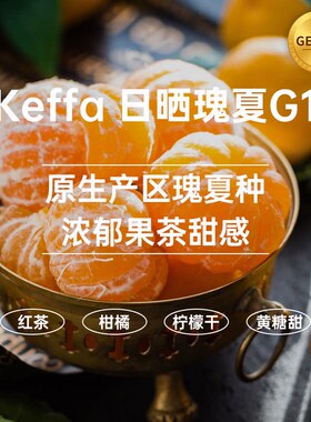 【25产季】卡法森林日晒瑰夏G1 印格埃塞俄比亚咖啡生豆1KG