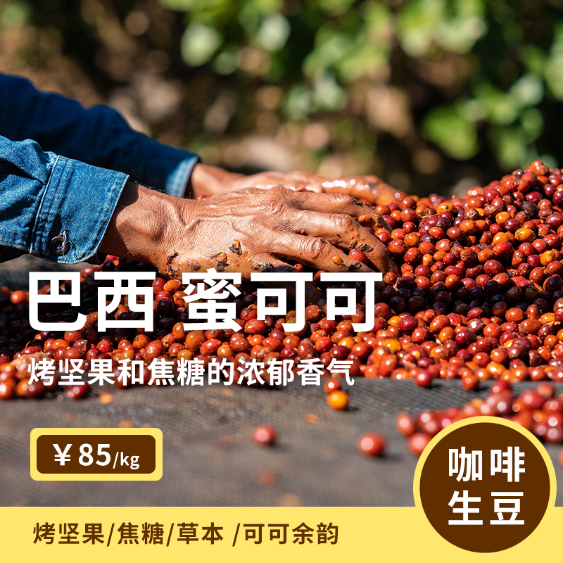 巴西米纳斯日晒焦糖坚果咖啡生豆