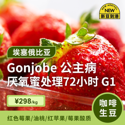 埃塞厌氧蜜处理g1印格咖啡生豆