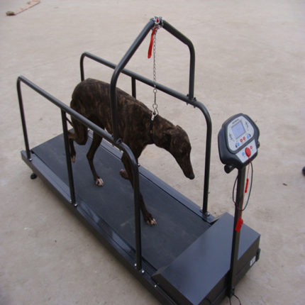 家用宠物训练狗狗跑步机犬用电动跑步机格力格慧惠比特遥控跑步机