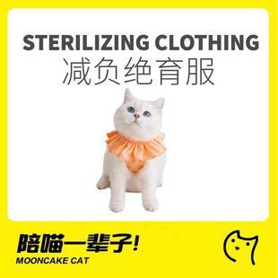 透气宠物弹力服伊丽莎白圈术后 月饼喵│meoof觅凹猫咪绝育服薄款