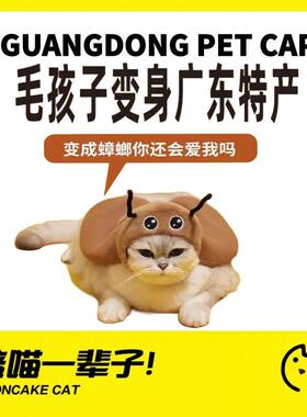 月饼喵│噗扑实验室广东特产蟑螂宠物头套披风服饰小型犬猫咪搞怪