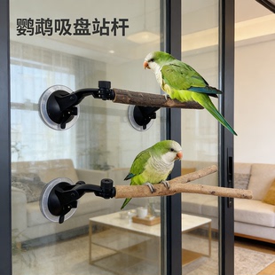 拉便便用品互动定点树枝解闷鸟站杆架鸟架玩耍攀爬鹦鹉树干站杠