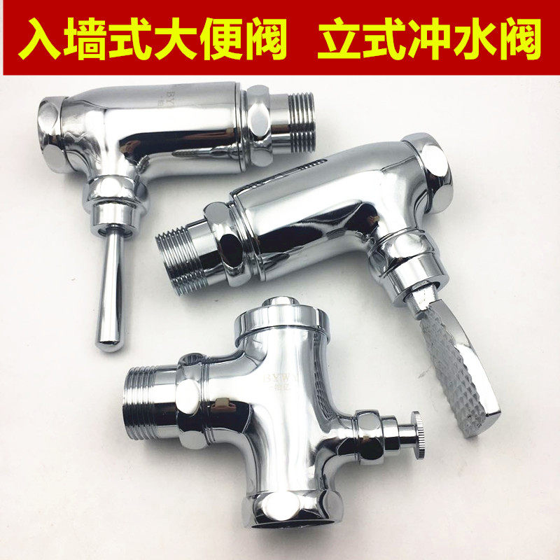 全铜按钮式入墙式延时大便冲水阀 立式蹲坑自闭冲水器 手按脚踏式