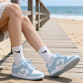 舒适百搭 防滑透气 低帮 Nike 蓝白FB9109 皮革 板鞋 105 Dunk